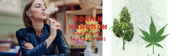 PSILOCYBIN Верхний Тагил