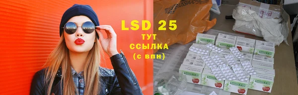 PSILOCYBIN Верхний Тагил