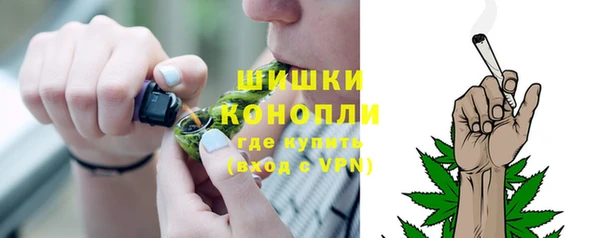 PSILOCYBIN Верхний Тагил