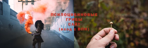 PSILOCYBIN Верхний Тагил