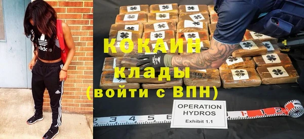 хмурый Верея