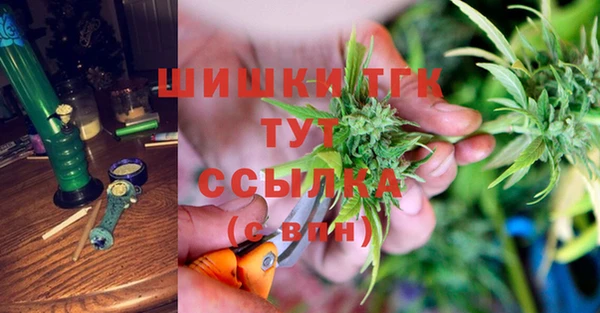 хмурый Верея