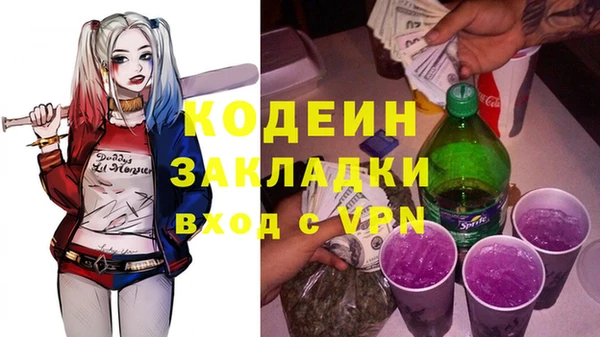 хмурый Верея