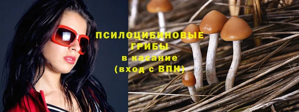 ПСИЛОЦИБИНОВЫЕ ГРИБЫ Волоколамск