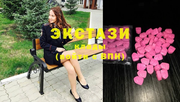 хмурый Верея