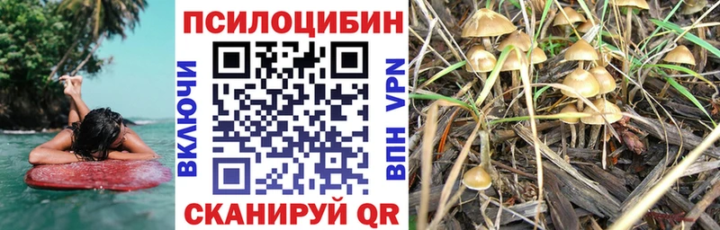 Псилоцибиновые грибы GOLDEN TEACHER  купить  цена  Певек 